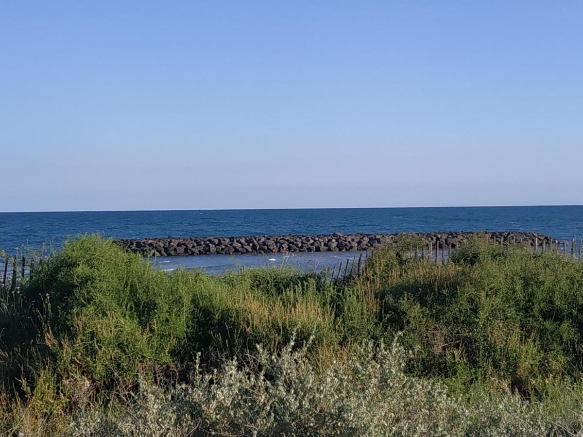 Appartement, Vue Sur Mer, Acces Direct Plage, Piscine Vias Εξωτερικό φωτογραφία